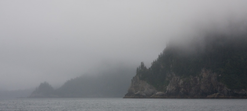 Headlands In Mist